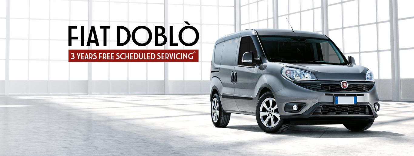 Fiat pro offers